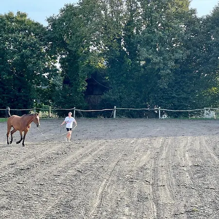 De La Tessonniere * Marcilly (Manche)